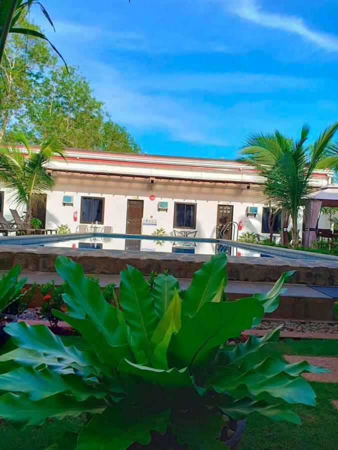 Palm Rise Resort Panglao Island Exterior photo